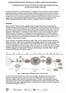 summary-findings_cape-town